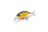 Beastly Squarebill Hot Lime Crankbait